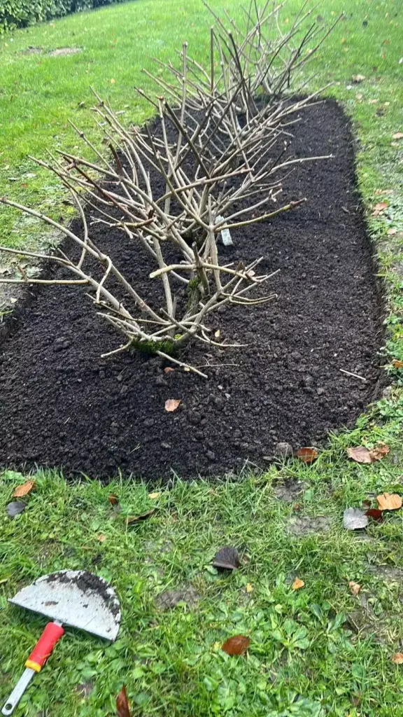 Entretien jardin Caen — tonte de pelouse et taille de haies par Paysagiste 14
