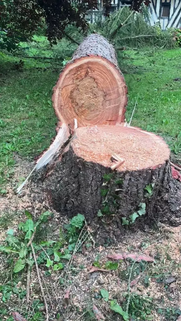 Réalisations paysagiste Calvados — élagage et débitage de bois par Paysagiste 14