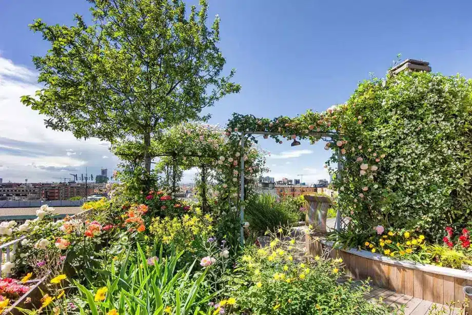 Entretien de jardin par votre paysagiste à Caen — tonte et taille de haies